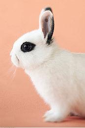 暴雪确认《魔兽世界：巫妖王之怒》怀旧服9＆27推出